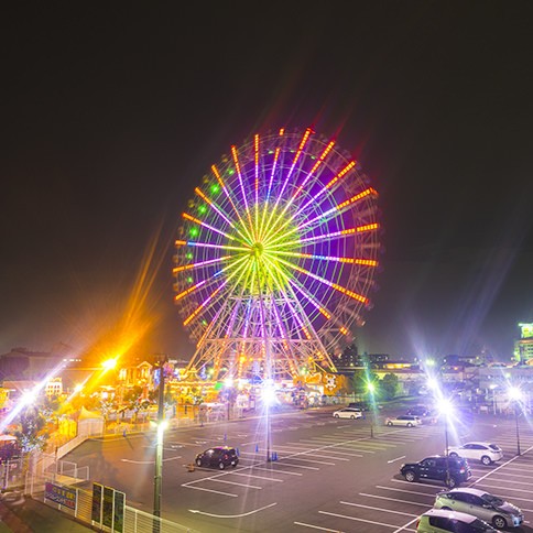 写真6